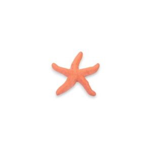 Kids Kabinet PLA Loose part Zeester oranje- rood
