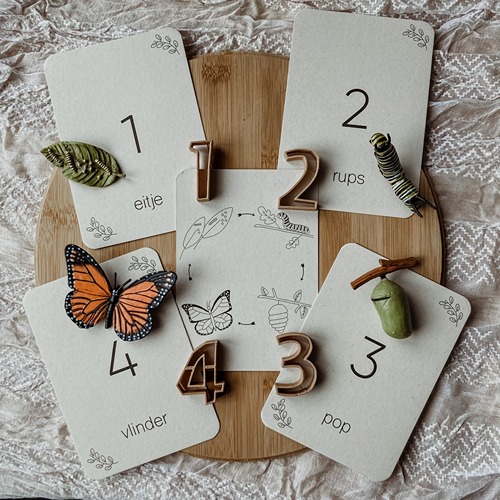 montessori-educatief-montessori-speelgoed-vlinder-flashcards-natuuronderwijs-het-speellab-3 (1) Wildebras Lifecycle Flashcards Vlinder – Educatief Montessori natuur speelgoed bij Het Speellab
