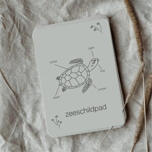 montessori-educatief-speelgoed-zeeschildpad-flashcards-natuuronderwijs-het-speellab (1) Wildebras Lifecycle Flashcards Zeeschildpad – Educatief Montessori speelgoed bij Het Speellab