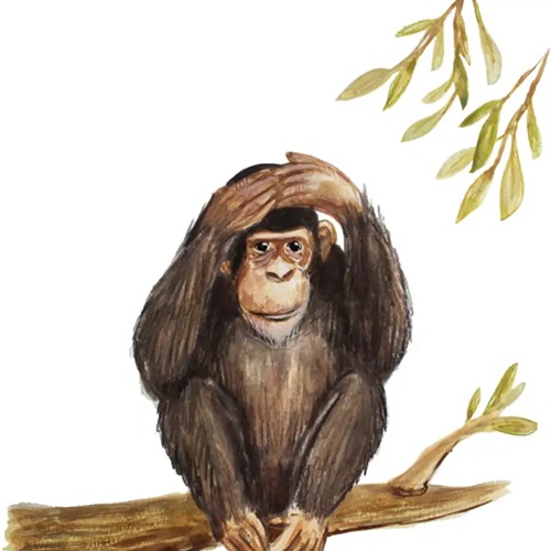 Welterusten, slaap lekker! – Slaapkaartjes van Uitgeverij Briljant slaapritueel en rustmomenten bij Het Speellab