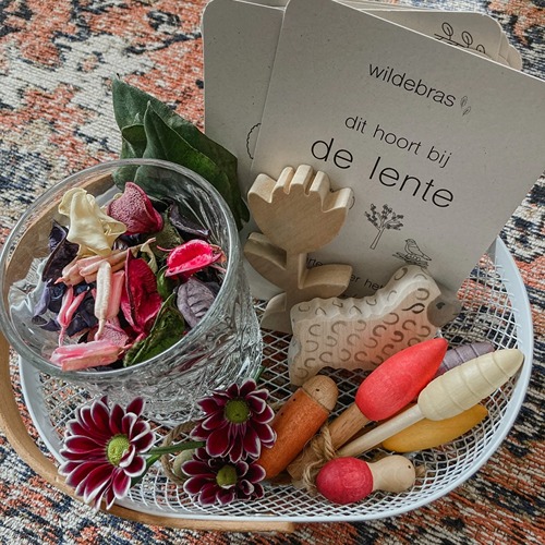 wildebras-lente-flashcards-montessori-seizoenstafel-1 Lente flashcards Montessori speelgoed – educatieve kaarten voor de seizoenstafel van Wildebras