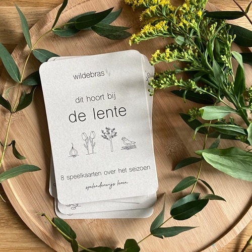 wildebras-lente-flashcards-montessori-seizoenstafel-3 Lente flashcards Montessori speelgoed – educatieve kaarten voor de seizoenstafel van Wildebras