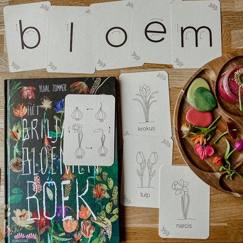 wildebras-lente-flashcards-montessori-seizoenstafel-4 Lente flashcards Montessori speelgoed – educatieve kaarten voor de seizoenstafel van Wildebras
