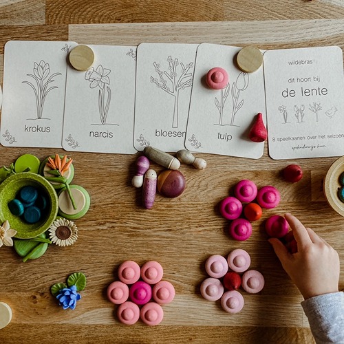 wildebras-lente-flashcards-montessori-seizoenstafel-6 Lente flashcards Montessori speelgoed – educatieve kaarten voor de seizoenstafel van Wildebras