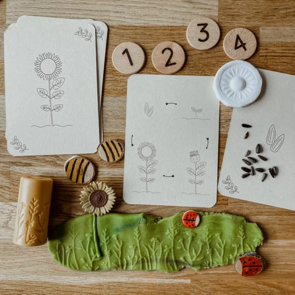 wildebras-lifecycle-flashcards-bij-lieveheersbeestje-bloemen-7 Wildebras lifecycle flashcards bij lieveheersbeestje en bloemen – educatief Montessori materiaal voor natuuronderwijs