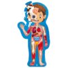 hape-human-body-puzzle-lichaamspuzzel-kinderen Het Speellab Hape Human Body Puzzle educatieve lichaamspuzzel voor kinderen