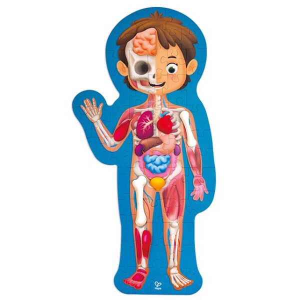 hape-lichaamspuzzel-menselijk-lichaam-het-speellab Hape lichaamspuzzel laat kinderen het menselijk lichaam ontdekken