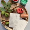 kastanje-eikel-groeicyclus-kaarten-montessori-speelgoed Montessori kaarten met groeicyclus van kastanje en eikel voor kinderen