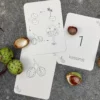 kastanje-lifecycle-kaarten-natuur-educatie Wildebras flashcards Lifecycle natuur waldorf principe