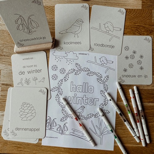 wildebras-winter-flashcards-waldorf-educatief-het-speellab Tekenstiften en vellen met winter flashkaarten Montessori natuur en educatief speelgoed van Wildebras